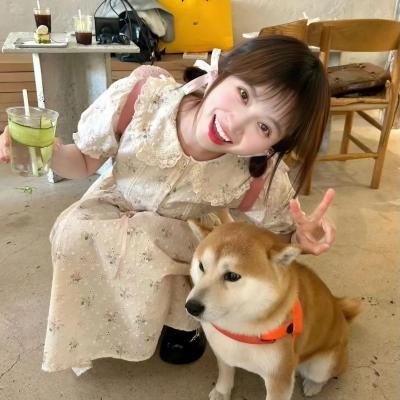 两不疑第二季